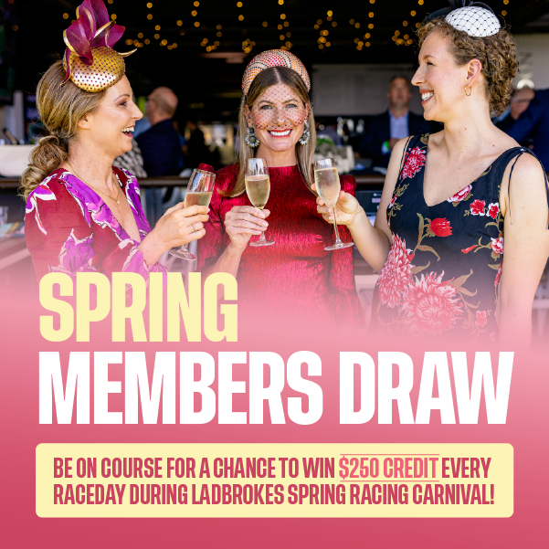 Members Draw Square Tile